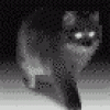 User-img