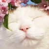 User-img