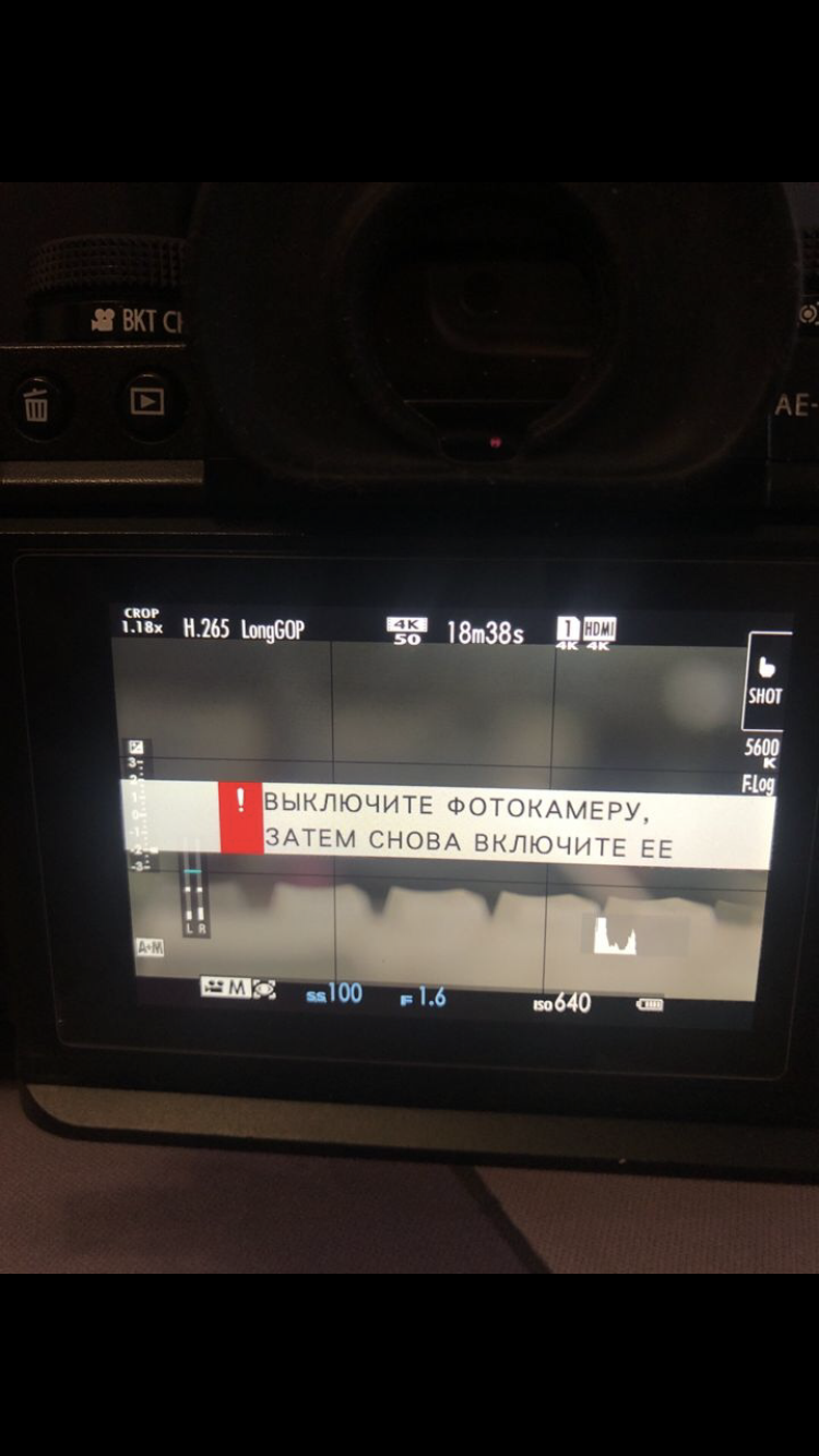 Фотоаппарат выдаёт...