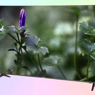 Телевизор новекс не...