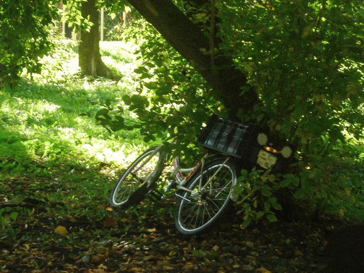 Как сделать вайб