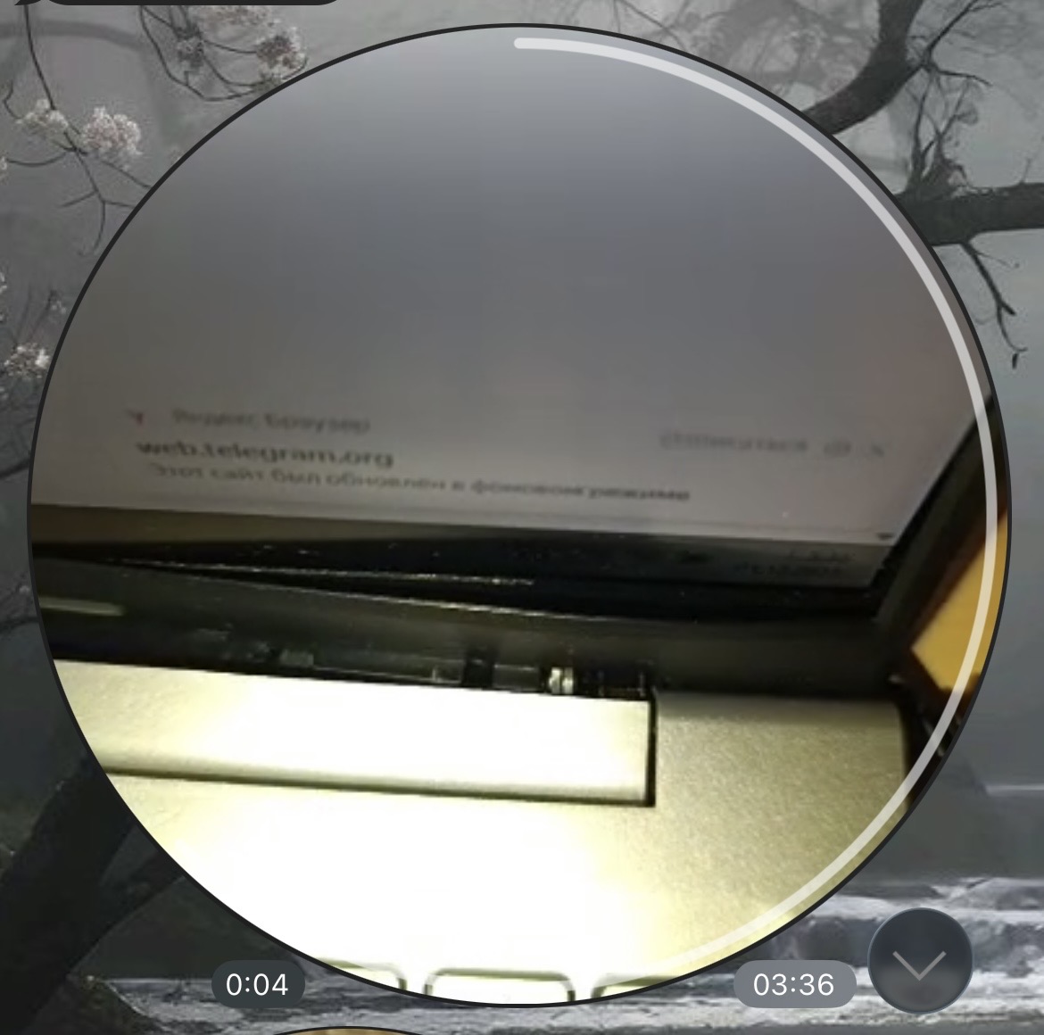 Ремонт ноутбука экран