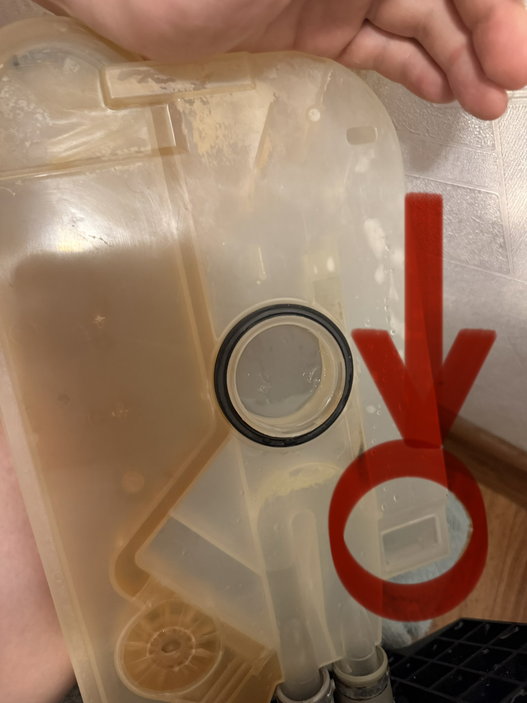 Посудомойка...