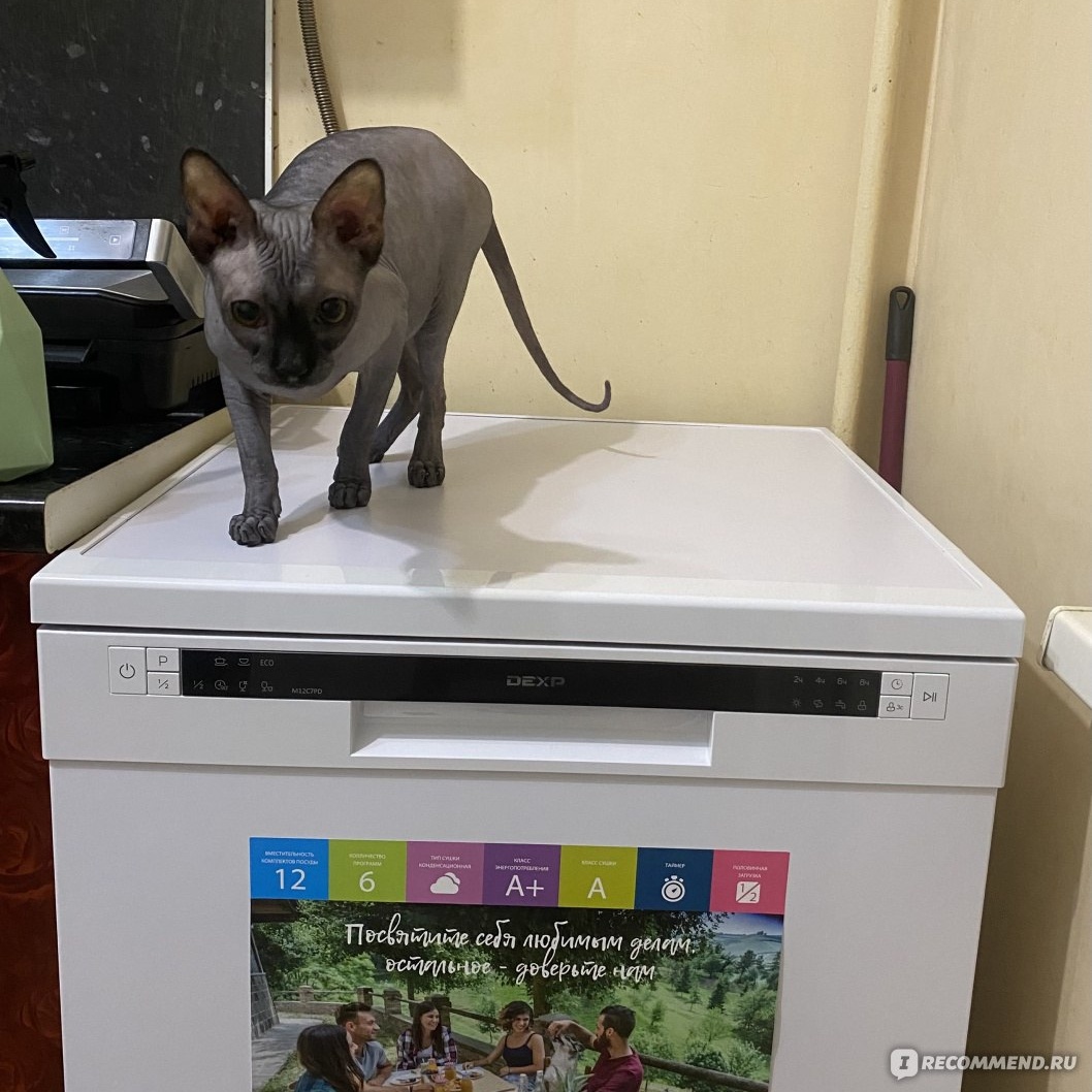 Посудомоечная машина...