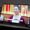 На экране телевизора. 