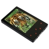 T7 4Gb