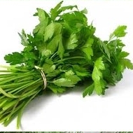 Фирма Авангард...