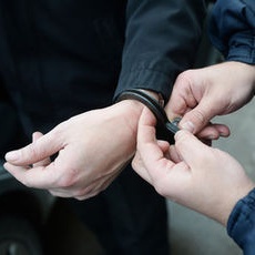 МВД России планирует...