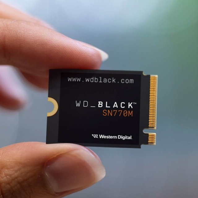Корпорация Western Digital...