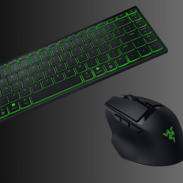 Сингапурская Razer...