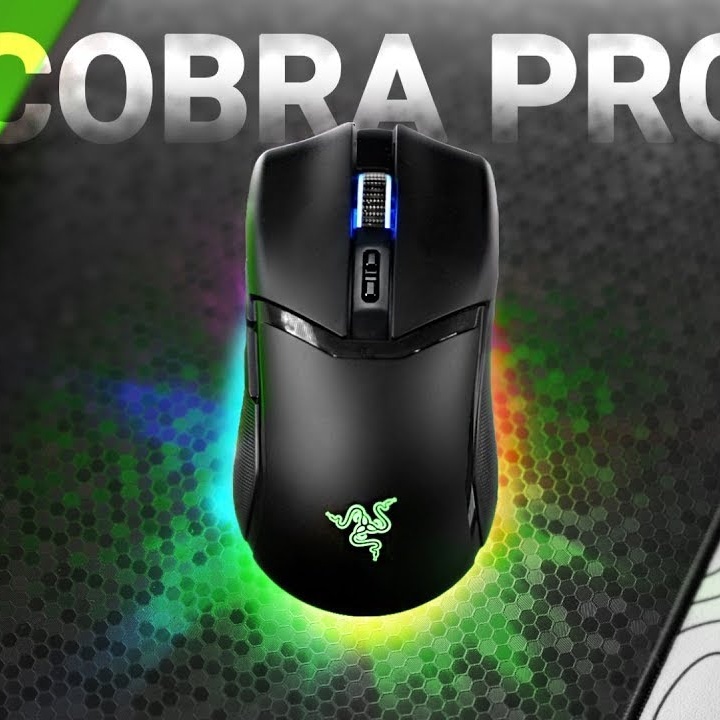 Сингапурская Razer...