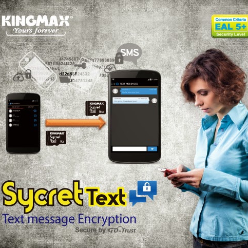 Компания Kingmax...