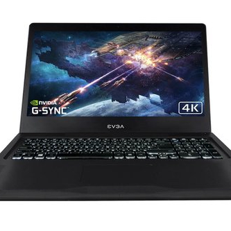 Компания EVGA??...