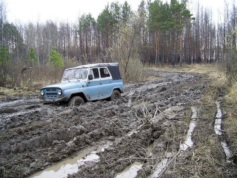 ?В университете?...