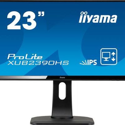 Компания Iiyama...