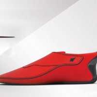 Компания Ducere Technologies...