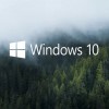 Абоненты Windows 10...
