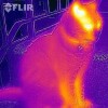 Футляр FLIR One делает...